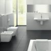 Erika Pro Q WC & Bidet Back to wall